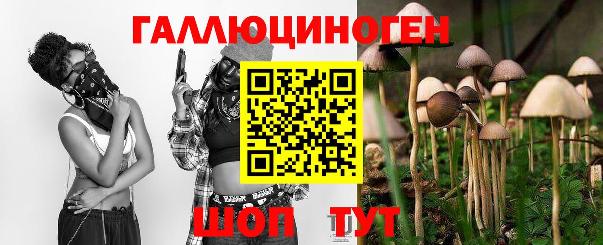 Псилоцибиновые грибы GOLDEN TEACHER Томск